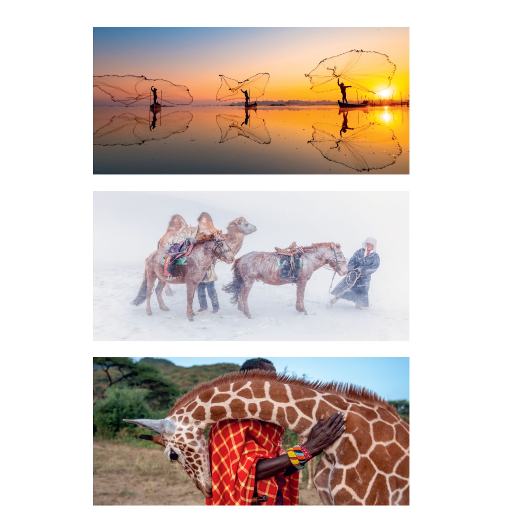 Design sans titre Lot de 5 pochettes de cartes 2026